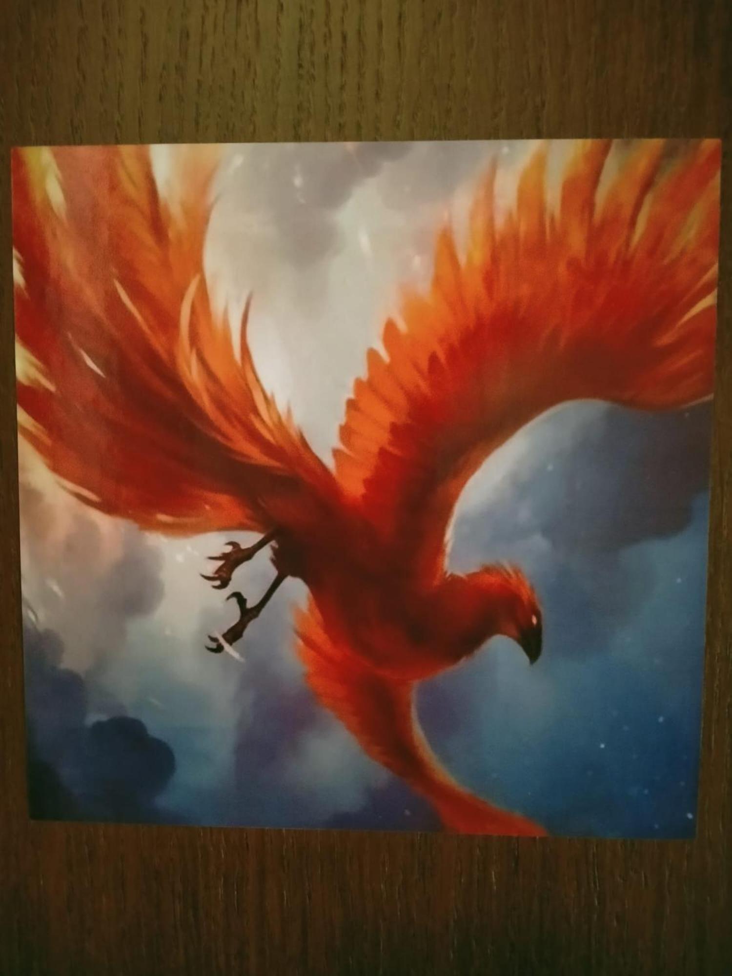 Fenix Gasthuis